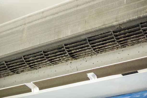 Best Ductwork Cleaning Services  in Laguna Beach, CA